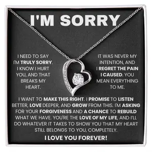 Apology Gift For Her  I am Truly Sorry Necklace I Am Sorry Gifts for Wife, Soulmate I Take Full Responsibility Giant Sorry Forgiveness Necklace with Message Card and Gift Box