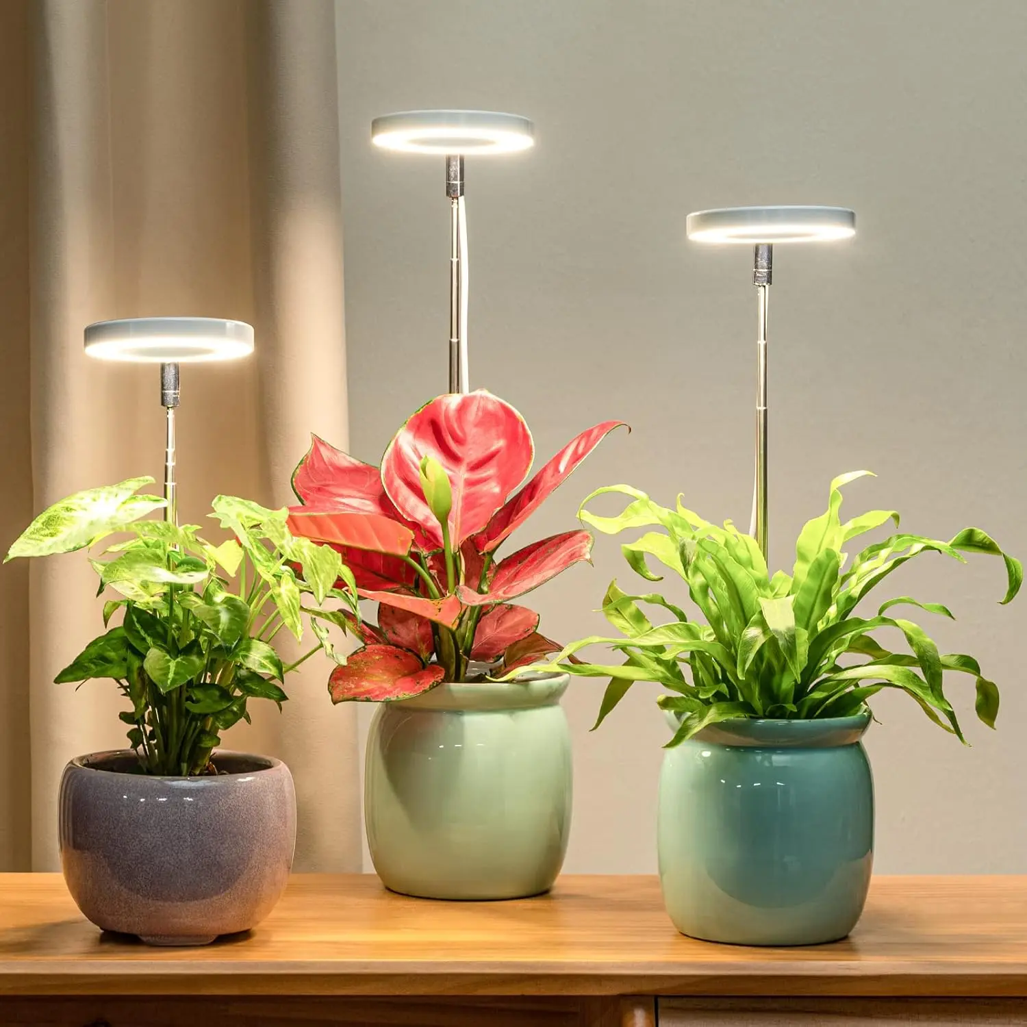 Low-Heat LED Grow Light for Shelves & Cabinets Full Spectrum Plant Light with Cool Operation Safe for Seedlings Herbs Succulents in Terrariums Indoor Gardens & Small Spaces Energy-Efficient Lamp for Indoor Plants - Pot Pot