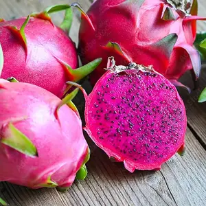 10 seeds Dragon fruit purple pitaya exotic plant seed
