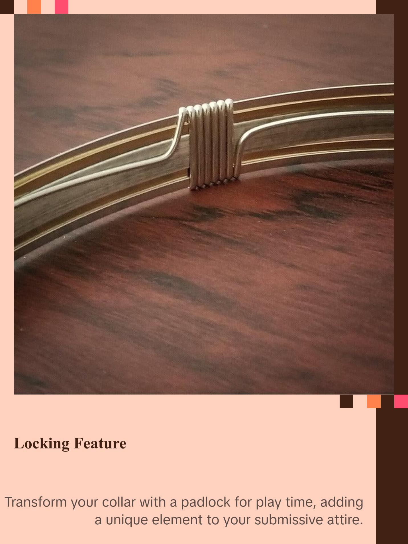 RIGGER Locking Submissive Collar