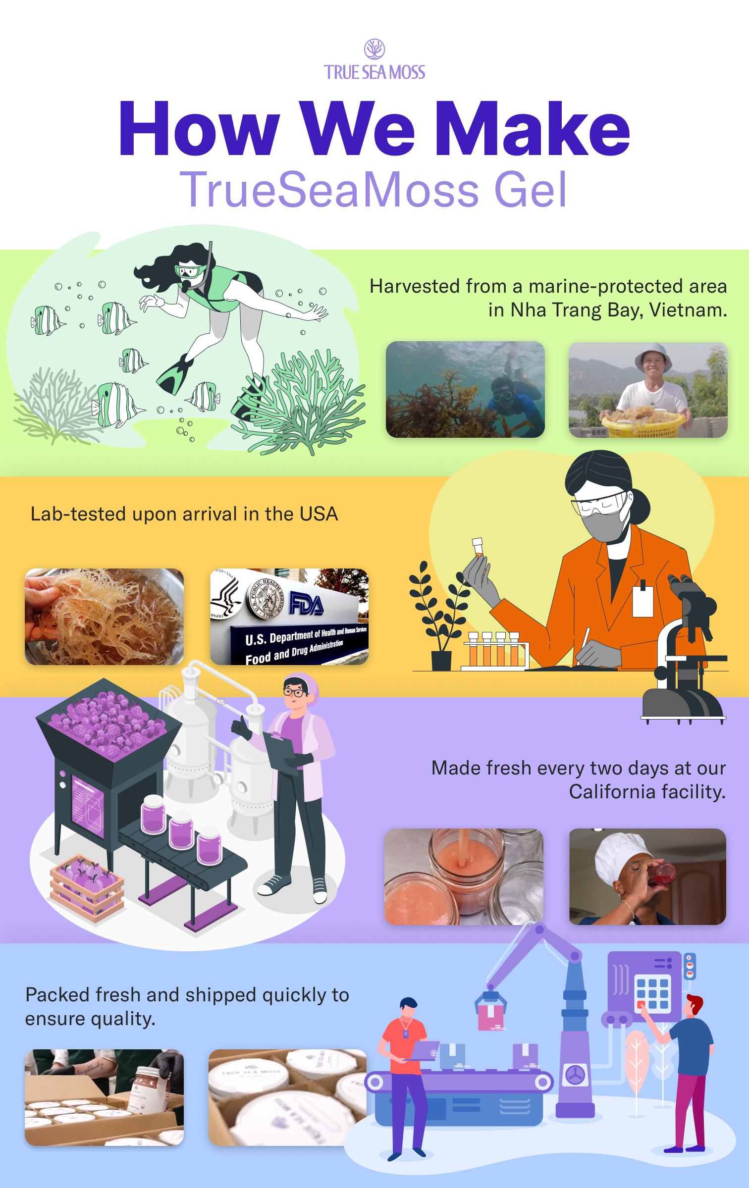 True Sea Moss 2-Bottle Bundle: Mango-Pineapple & Strawberry – Rich in Essential Minerals & Vitamins – supports overall vitality Bathroom True Sea Moss 2-Bottle Bundle: Mango-Pineapple & Strawberry – Rich in Essential Minerals & Vitamins – supports overall vitality Bathroom