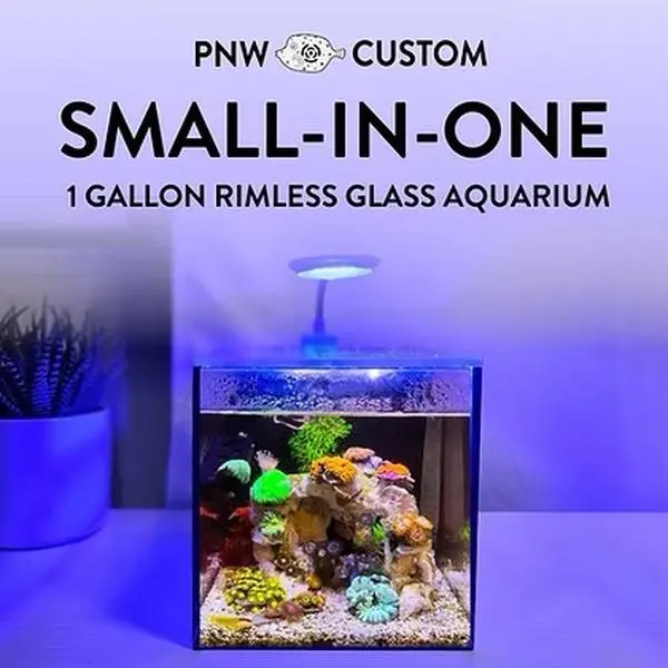 Small-In-One | 1 Gallon Desktop Aquarium Kit for Saltwater or Freshwater