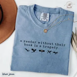 Comfort Colors Fourth Wing Shirt, Basgiath War College t-shirt, Bookish Shirt, Xaden Riorson, Gifts For Readers, Book Lovers Shirt