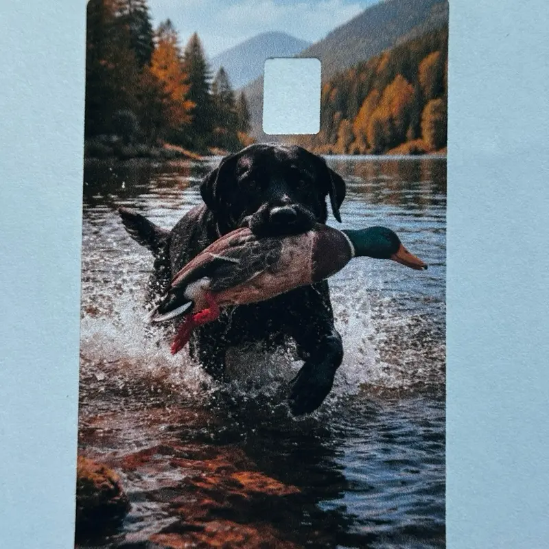 DIY Scrapbooking & Stamping 2x3 in Water Resistant Animal Credit Card Skin - Hunting with Duck Theme, Realistic Black Lab Print, Residue Free Removal Protective Sheet for Wallet Sleeves