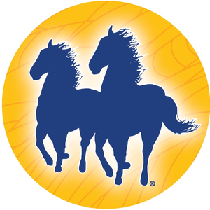 MANE 'N TAIL