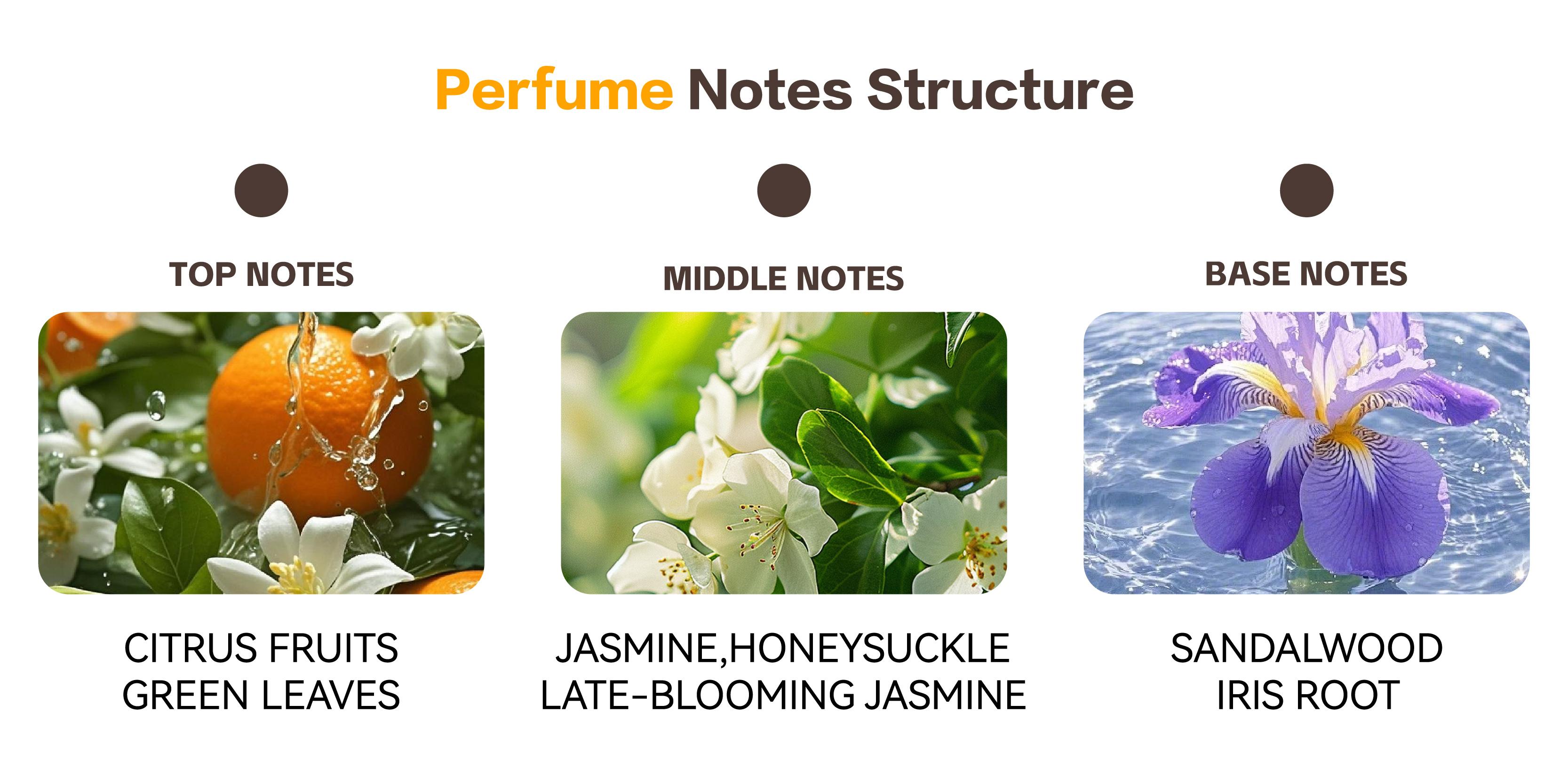 Bymolia Lumiflora Perfume - Long Lasting Addictive Personal Fragrance Oil - Citrus Fruits & Jasmine Scent Eau de Parfum, 1.7 Ounce / 50ml