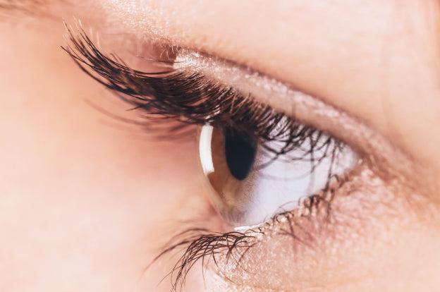 KISS 'Color The World' Pride False Eyelashes - Live Proud