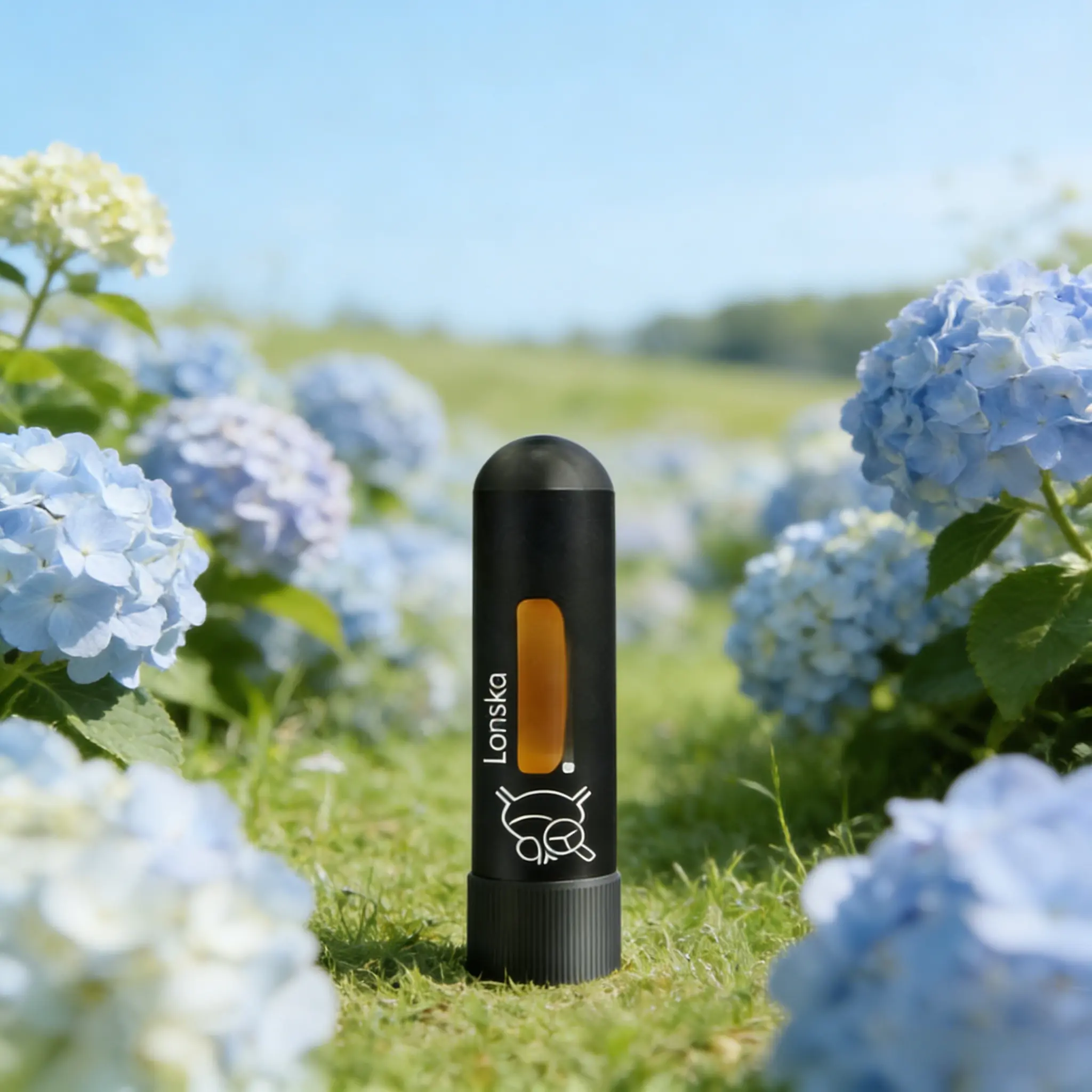 Furniture Aromatherapy Air Purification Bedroom Aromatherapy Car Aromatherapy Aromatherapy