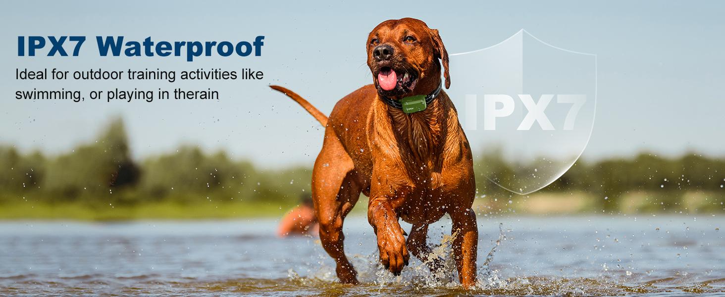 Jugbow Dog Shock Collar Charger Cord for DT-61/ DT-68Dog Training Collar, 2-in-1 USB C and Magnetic Bark Collar Charging Cable for Dogs