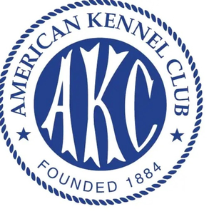 American Kennel Club
