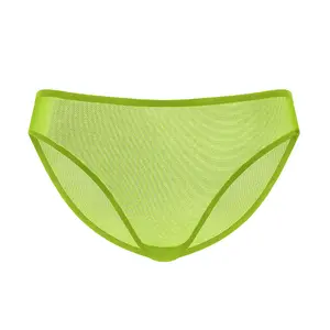 HSIA Seraphina High Waisted Summer Breathable Sheer Mesh Panty Plus Size Sexy Breathable Full Coverage Briefs Soft Lightweight Seamless Comfort 100% Cotton Crotch Matching Underwear Womenswear