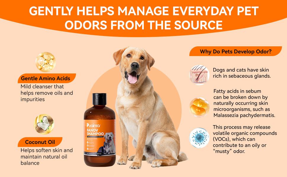 Itch-Relieving Shampoo-PUAINTA 8oz Banov Pets Shampoo for Dogs & Cats | Plant-Added Formula Addresses Itching & Ringworm Contains Chamomile Rosemary & Coconut Oil，Deep Clean Anti-Odour, Enhances Coat Shine, Easy Rinse #Summervibes #petlovers