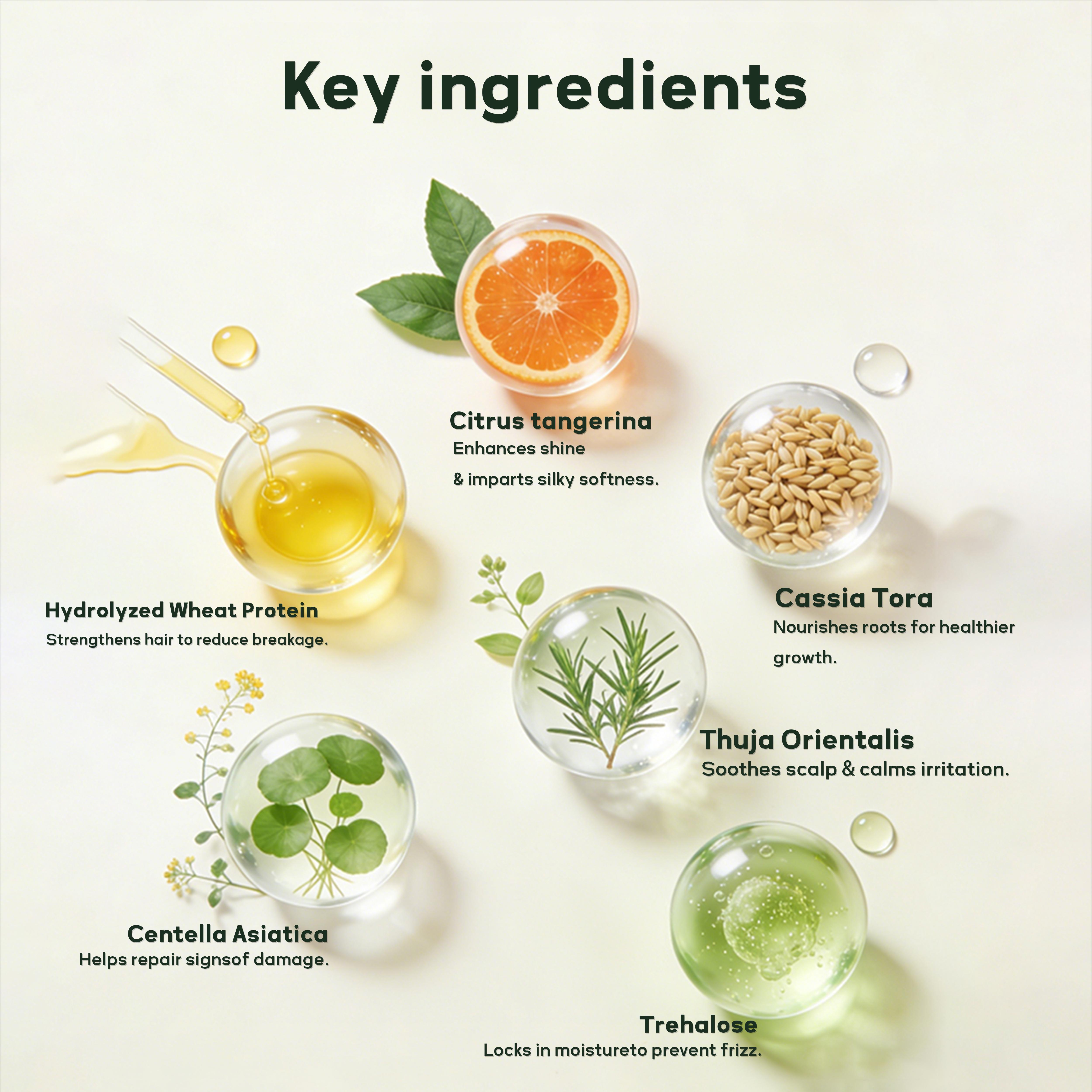 Built in Bonding Treatment for Hair Growth & Thickening Conditioner, Detangle Strengthens & Adds Shine (8.8fl oz) | Keratin & Ceramide, Lightweight &Smooth, Leafy-Fresh Scent SpringStatements Built in Bonding Treatment for Hair Growth & Thickening Conditioner, Detangle Strengthens & Adds Shine (8.8fl oz) | Keratin & Ceramide, Lightweight &Smooth, Leafy-Fresh Scent SpringStatements