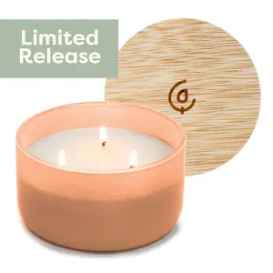 Peach + Nectar 3-Wick Resilience Soy Candle | Seasonal Fragrance