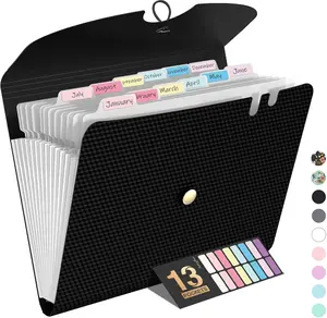 Expanding File Folder, 13 Pocket Accordion File Organizer, Monthly Expandable File Folder for Documents with Labels, Portable Bill Receipt Organizer for School Office Supplies, Letter A4 Size