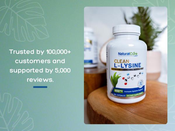 Clean L-Lysine 600mg – Supports Immune Function, Muscle Health & Recovery - 120 Capsules