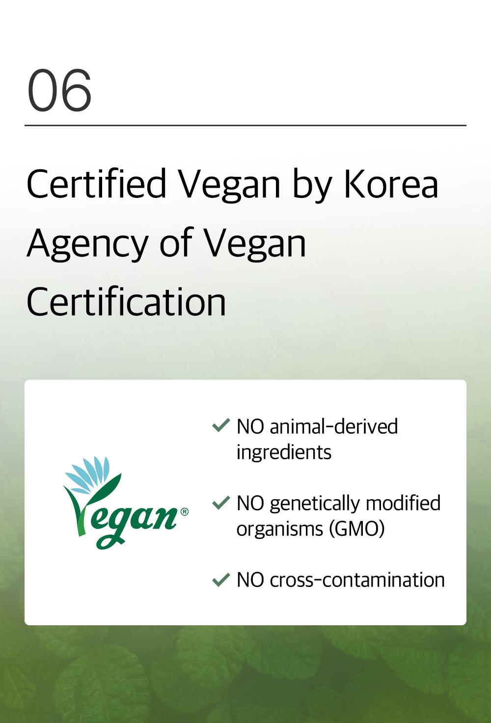 [mixsoon Official Shop] Centella Cleansing Foam Duo (5.07 fl.oz / 150ml x 2) - Low pH cleansing foam for soothing and moisturization, Korean Glass Skin Care