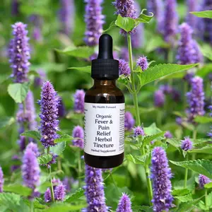 Organic Pain & Fever Relief Tincture - Herbs for Headaches, Stress, Pain, and Fevers