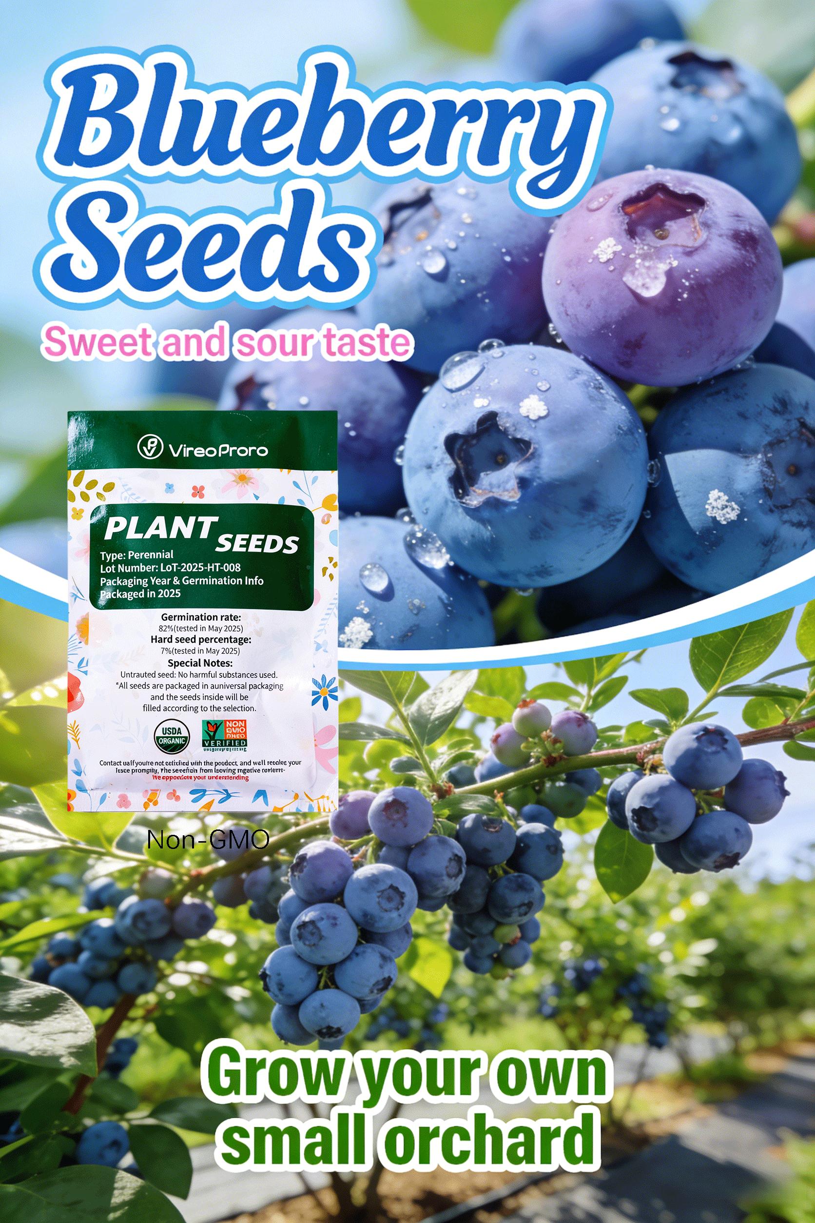 Blueberry Seeds | Home Gardening Fruit Seeds | Planting Guide for Beginners, a must-have for plant enthusiasts