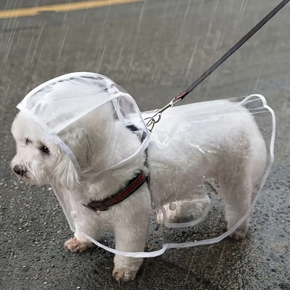 Transparent Waterproof Dog Raincoat - PVC, All-Around Waterproof, Button-Up Design for Small to Medium Breeds, Ideal for Teddy & Bichon Frise, Outdoor Rainy Day Walking Gear, Waterproof Puppy Poncho, Dog Raincoat | Transparent Raincoat | PVC Raincoat
