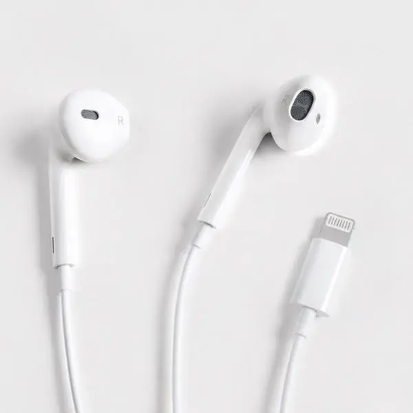 Wired In-Ear Earphones (Earbuds, Headset) with Lightning Connector for iPhones, Plug-in Type C Microphone, Stable Connection, Noise Isolation, Comfortable Audio Electronic Device, Wired Earphones, Lightning Plug