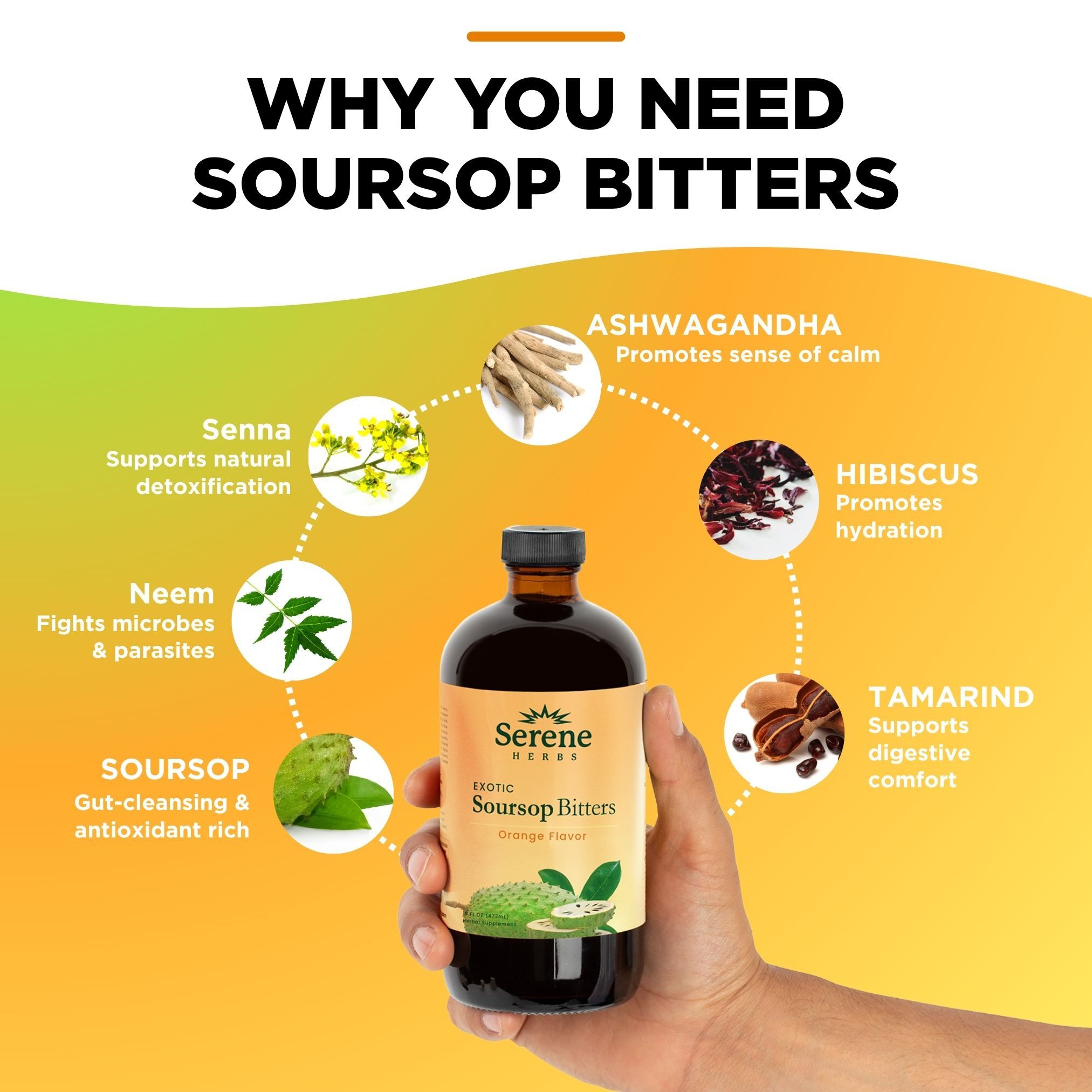 Serene Herbs Soursop Bitters Liquid Orange with Soursop Leaves for Gut Cleanse, Detox, Digestive Wellness & Immune Boost with Black Seed, Moringa, Irish Moss, Ashwaganda, Turmeric (16 FL oz, Orange)