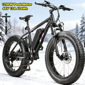 ZNH  Electric Bike for Adults, 1000W Motor, 24" x 4.0"Tires,624Wh Removable Battery, 50 Miles Range, 20 MPH Speed, Commuter/Mountain/Off-Road Electric Bike Electric Bicycle  Ebike ebike bikes for adults 90 mph