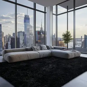 Shag Area Rugs for Living Room Bedroom , 5x8 Ultra Soft Fluffy Non-Slip Rug, Washable Indoor Carpet for Dorm Nursery Kids Room, Black Home Decor