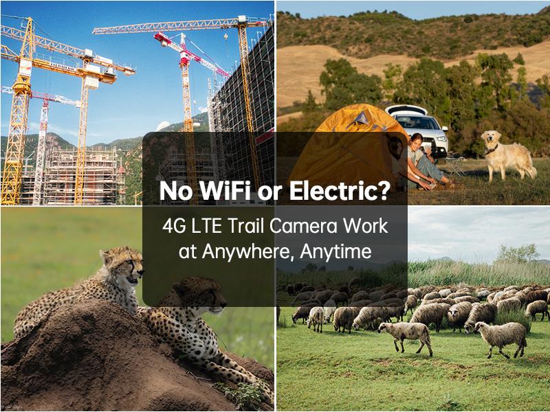 SeeVision 4G LTE Cellular Trail Camera 360° View FHD Live Streaming Solar Panel Night Vision Motion Detection Two-Way Audio for Hunting & Outdoor Security