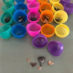 Pre-filled Easter eggs with real coastal fossils