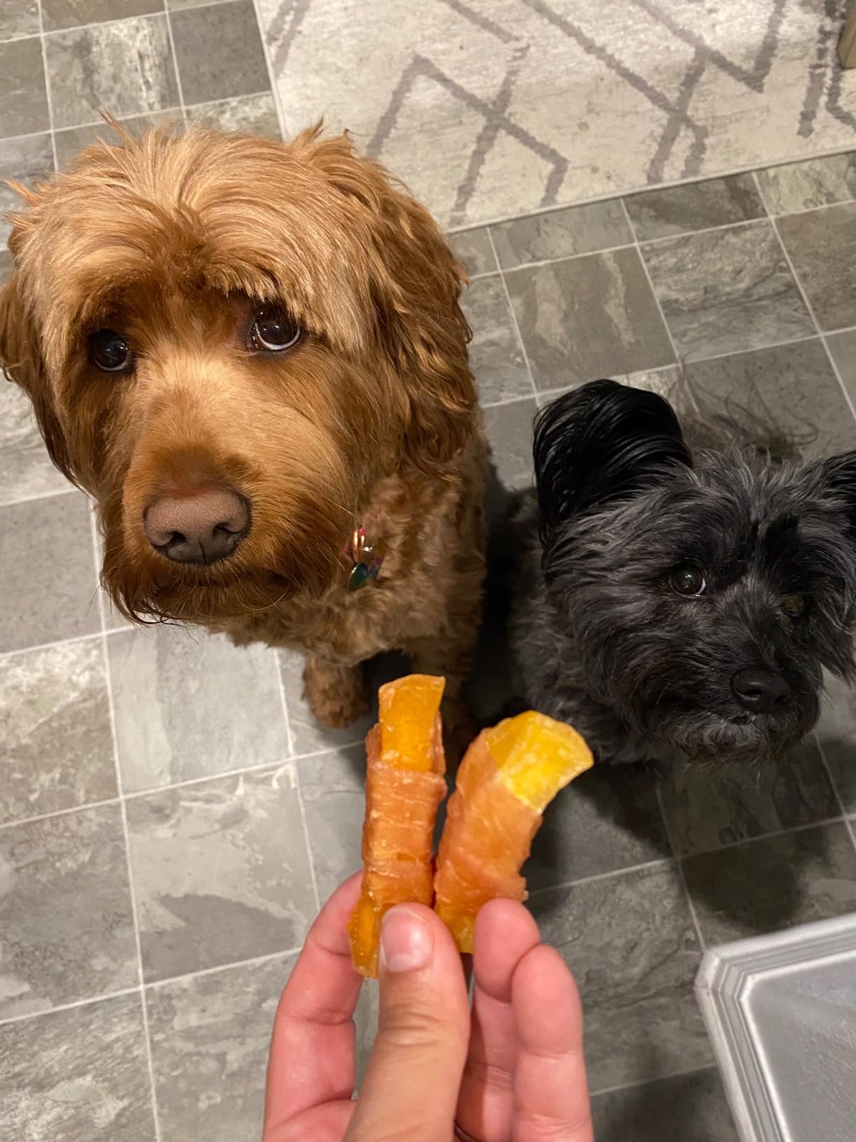 Hubert Gourmet Sweet Potato Wraps Dog Treats all-natural Puppy Snacks - Chicken & Duck Flavor Dog Chips