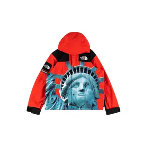 TNF Mountain Jacket "FW19 - Statue Of Liberty" SU8175