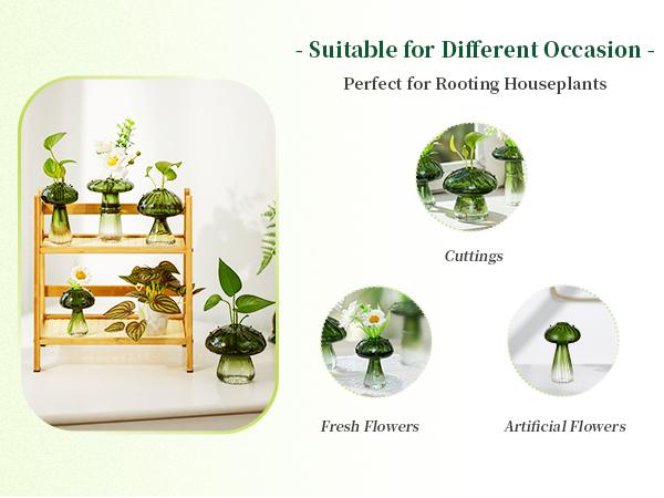 Mushroom Glass Vase, Set of 5, Dopamine Decor Hand Blown Glass Bud Vase for Flowers Indoor Planters for Women Spring Room Decor Mushroom Glass Vase, Set of 5, Dopamine Decor Hand Blown Glass Bud Vase for Flowers Indoor Planters for Women Spring Room Decor