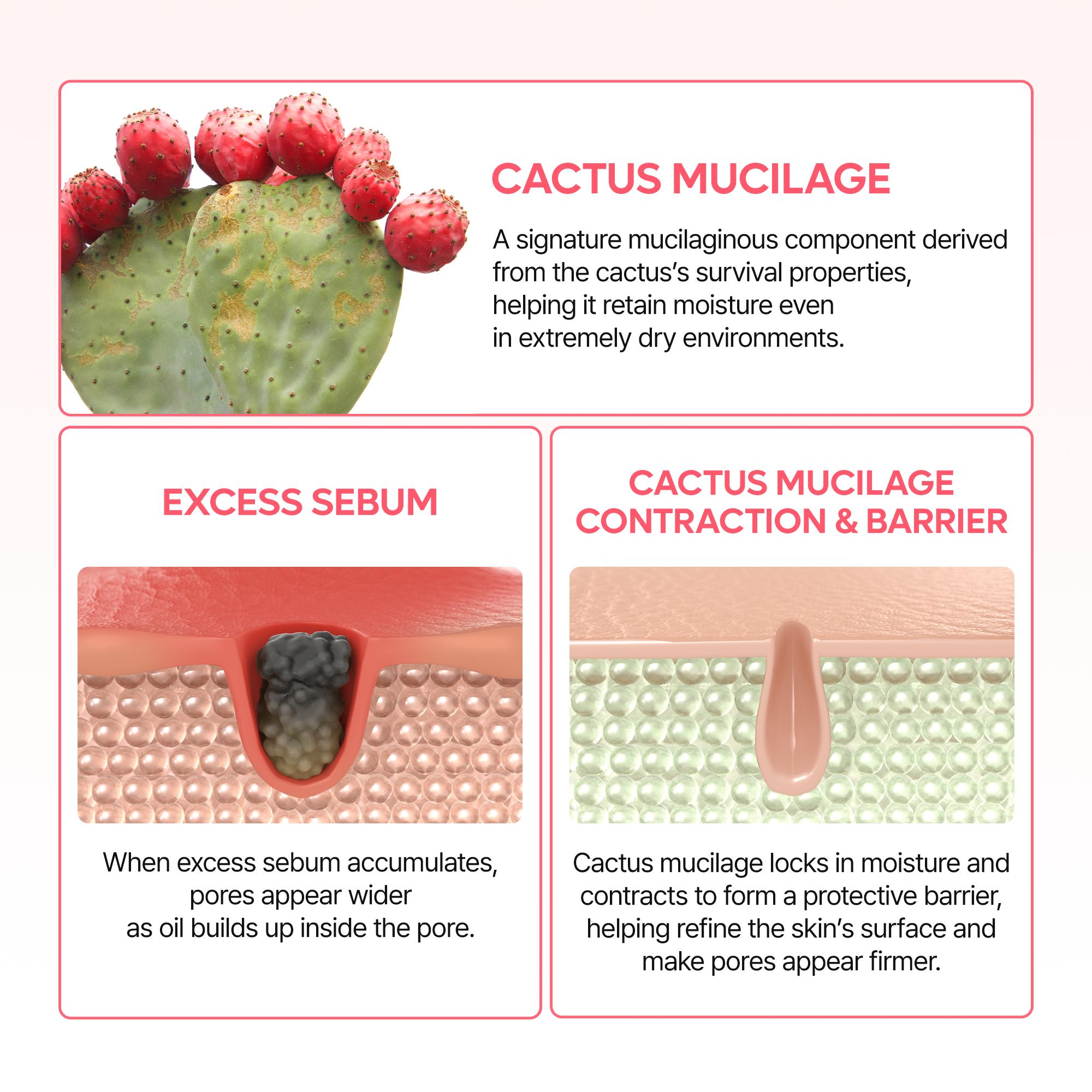 [Dr.Melaxin Official] CACTOX PORE DUAL CAPSULE CREAM with Cactus Cooling Reduce Puffiness & Pore Tightening for Visible Pore Care Skin Repair