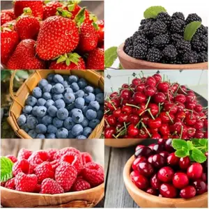 Fruit Seeds Variety Pack 1500pcs 6 Types – High Yield – 400pcs Strawberry, 200pcs Blueberry, 300pcs Raspberry, 300pcs Mulberry, 200pcs Cranberry,20 Cherry