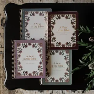A Year in the Bible | 4 Volume Bundle