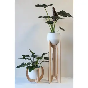 Arches & Nested Plant Stand Mix