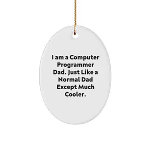 Gifts for Computer Programmer Dad - Funny Oval Ornament, Computer Programmer Gifts, Christmas Unique Gifts, Gifts from Family for Computer Programmer