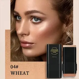 5-color Dual -Ended Foundation Concealer Stick, Dual-ended with Built-in Brush, Moisturizing & Lightweight