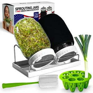 ZESTIGREENS 10-in-1 Professional 32oz Mason Jar Sprouting Kit - Sprouter with Stand, Drip Tray & Blackout Sleeves, Hydroponic Green Onion Regrower for Broccoli, Alfalfa