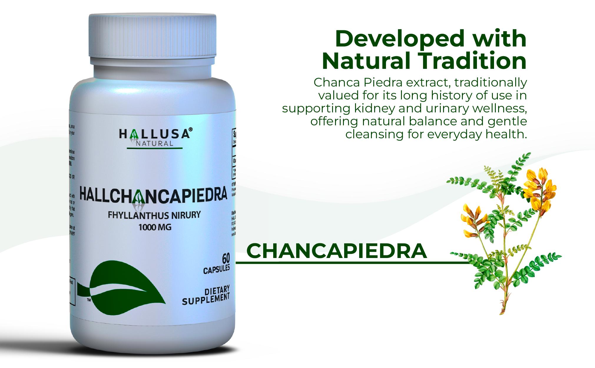 HALLUSA NATURAL Hallchancapiedra 1000 mg Supplement Pure Chanca Piedra for Kidney Stone Breaks 60 Capsules Gluten Free GMO Free Sugar Free US Made Edible Healthcare Dietary Supplement