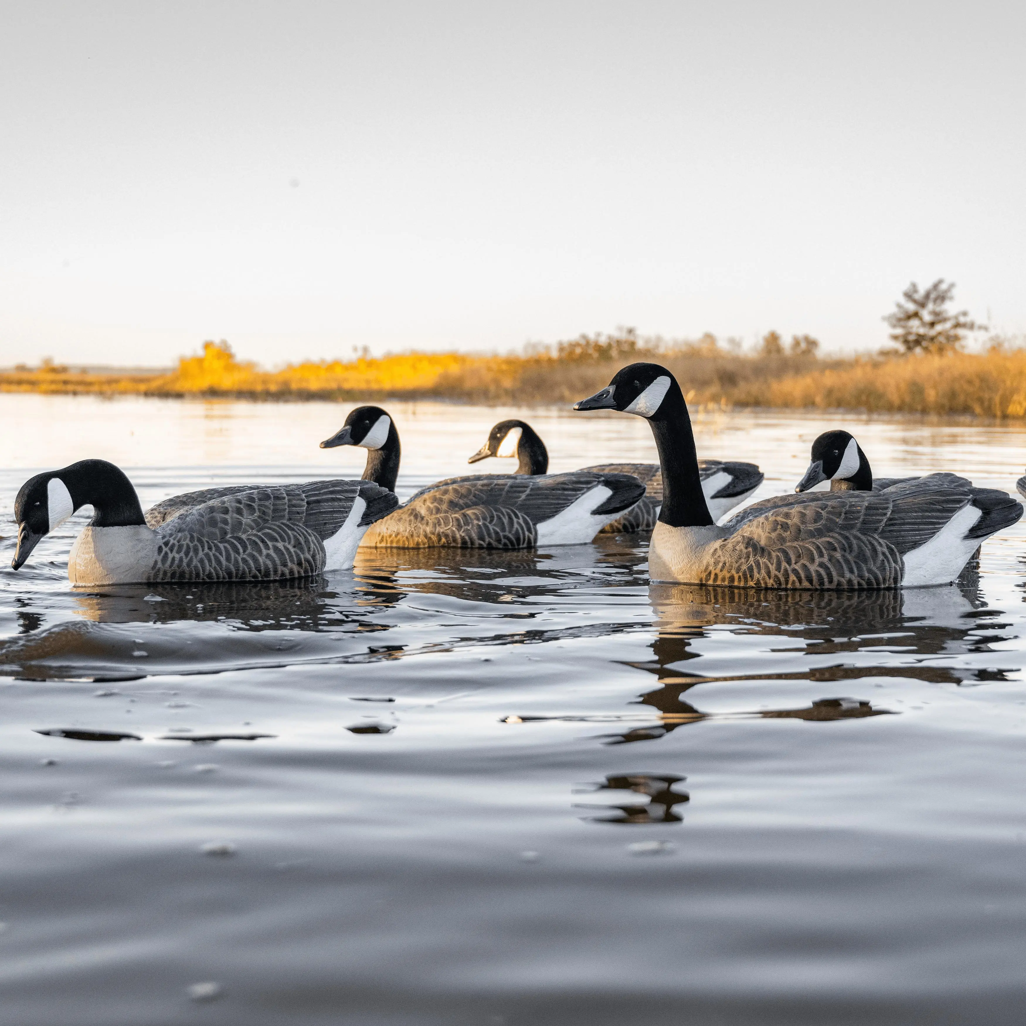 Goose Floaters