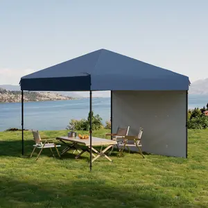 10x10 Pop Up Canopy with One Button Push Setup, Heavy Duty Easy Up Canopy Tent, Portable Instant Gazebo with Roller Bag, 4 Weight Bags & 8 Stakes, UV Protection Shelter for Backyard, Party