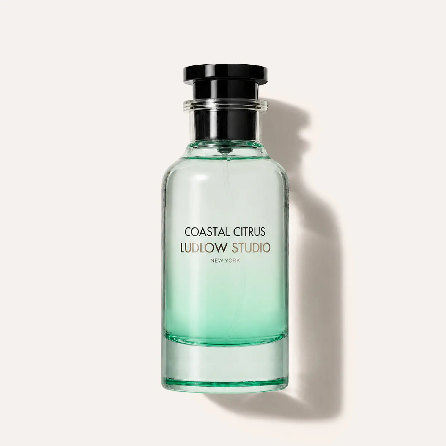 Ludlow Studio Coastal Citrus Parfum, Aromatic Fruity EDP - 20% Fragrance Concentration, 100ml, Notes of Citrus, Apricot, Lemon, May Rose, Fig - Vacation Vibe Fragrance
