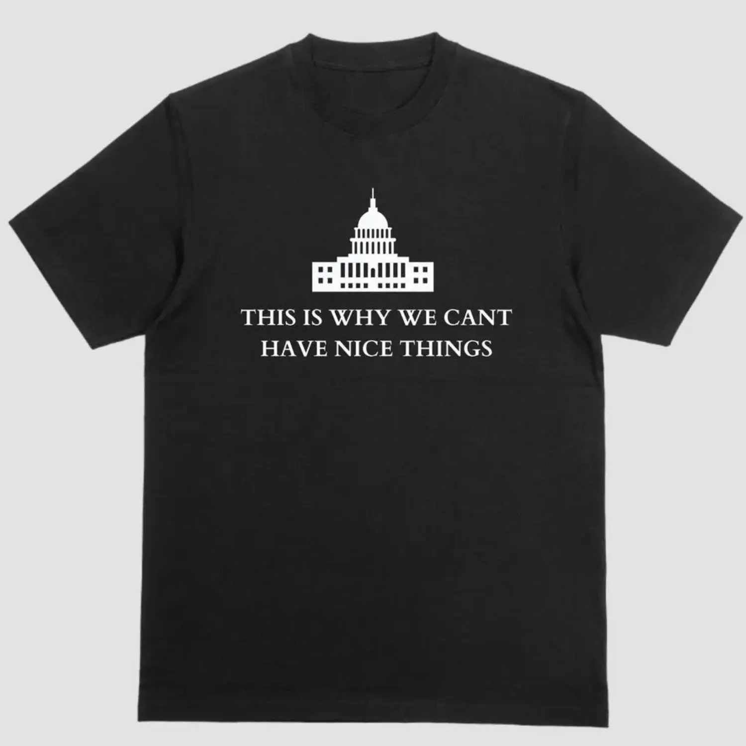 Short Sleeve Shirt Explaining Why We Cannot Have Nice Things