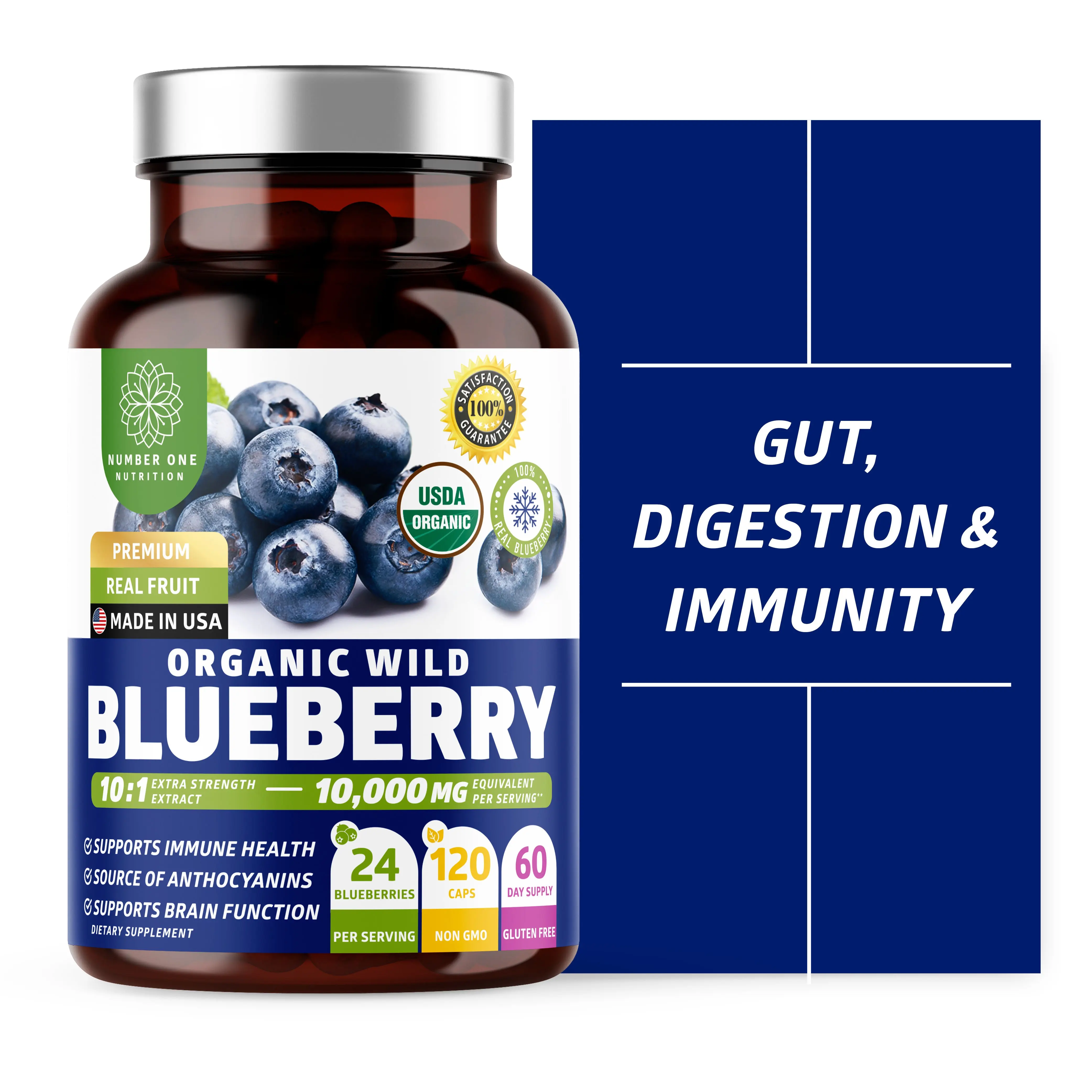 Certified Organic Wild Blueberry Supplement for Gut and Immunity Support, 120 Caps
