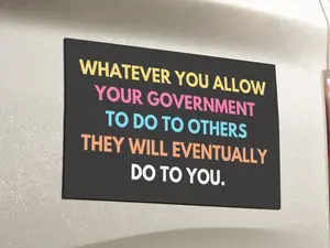 Whatever You Allow Car Magnet , AntiTrump, Anti ICE Bumper Magnet, Government Political Statement