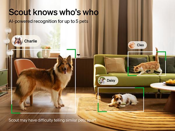 PETLIBRO AI Dog Camera Pet Camera Indoor with Phone App [Multi-Pet Recognition, Daily Activity Analysis & Smart Summaries] Cat Camera 360° View, 1080P Dog Cam Night Vision, 2-Way Audio WiFi Cam Cat