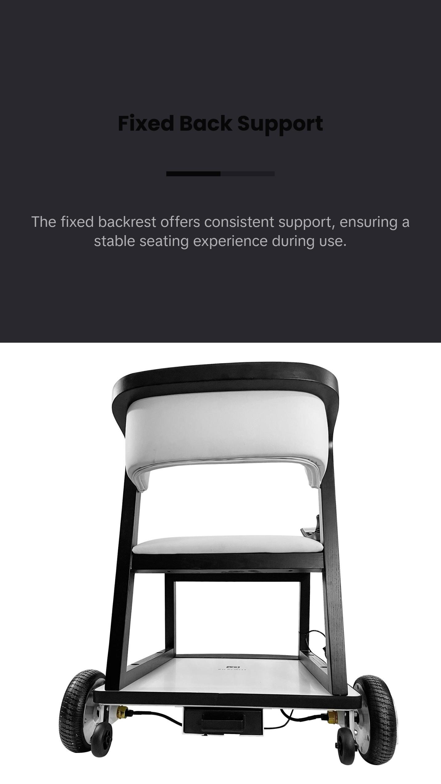 ZiiLIF FurniBOT C1 Smart Chair Stylish for Indoor Mobility