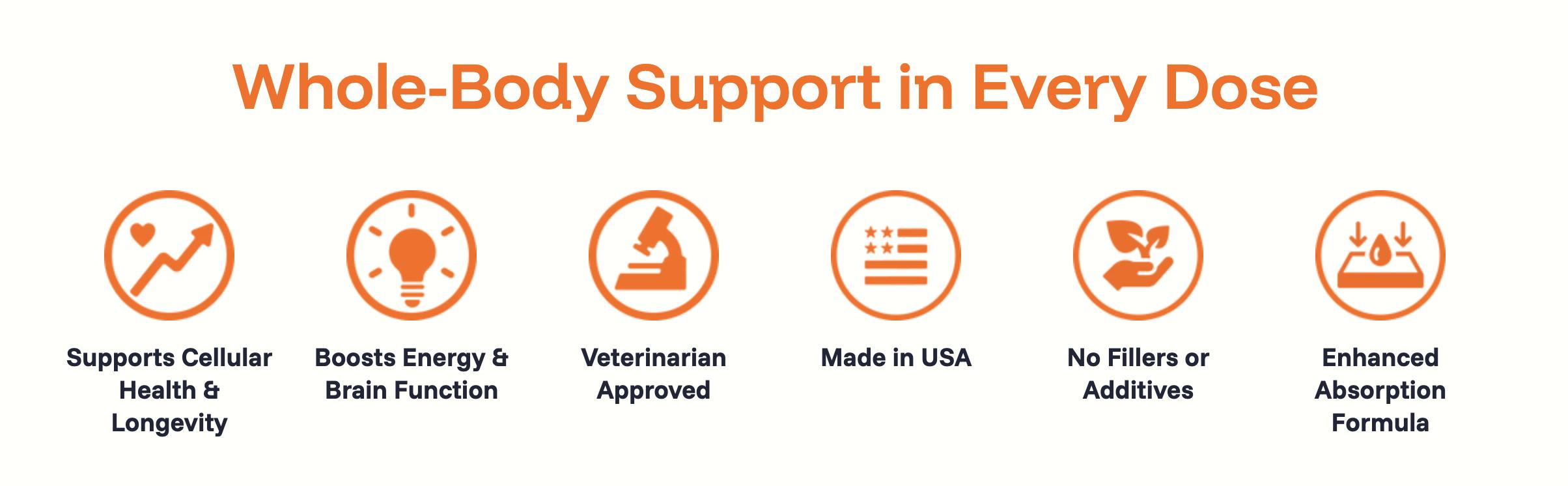 Dog Longevity Supplement | Pawprint Protocol NAD+ Liquid Drops for Senior Dogs Hind Leg & Energy Support